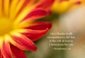 Abstract Yellow and Red Flower, Give Thanks Bible Verse