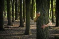 Young woman with Glass of Rose Wine Hugging Tree in Forest Royalty Free Stock Photo