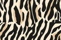Abstract Zebra Print Royalty Free Stock Photo