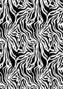 Abstract zebra skin pattern Royalty Free Stock Photo