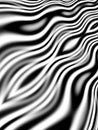 Abstract Zebra Stripes Pattern Royalty Free Stock Photo