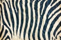 Abstract Zebra Stripes Pattern on Fabric Texture - Seamless Black and White Animal Print Background for Fashion and Design Royalty Free Stock Photo