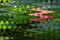 Abstract zigzag pattern with wave on floral theme. Artistic image processing created by photo of pink water lily flower Royalty Free Stock Photo