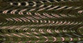 Abstract zigzag pattern with waves in green and pink tones. Artistic image processing created by water lily or lotus flower photo Royalty Free Stock Photo