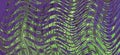 Abstract zigzag pattern with waves in lilac, green tones. Artistic image processing created by photo of purple leaf Cotinus coggyg Royalty Free Stock Photo