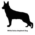 White Swiss shepherd dog vector set of silhouettes