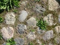 Abstraction background, texture. An old cobblestone pavement with sprouted grass, illuminated by the sun on a hot day. Stone Royalty Free Stock Photo