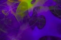 Abstraction digital creativity color glowing explosion movement illusion magic fractal fantasy design background rendering