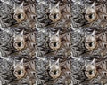Image layers for walls and storefronts in the form of abstraction 3D special effects,