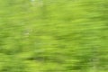 Abstraction green leaves at passenger train speed
