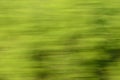 Abstraction green leaves at passenger train super speed