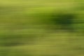 Abstraction green leaves at passenger train super speed