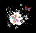 Abstraction multicolored butterflies. Paint spots. Vector illustration