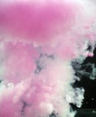 Abstraction from paint in water of pink color on a dark background with small air bubbles Royalty Free Stock Photo