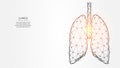 Abstraction polygonal vector illustration of human lungs on a light background