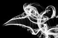 Abstraction: white smoke pattern and curves on black Royalty Free Stock Photo