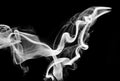 Abstraction: white smoke shape and swirls Royalty Free Stock Photo