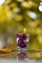 Abstractive organic close up glass of purple colour of flowers