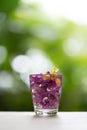 Abstractive organic close up glass of purple colour of flowers