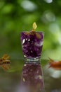 Abstractive organic close up glass of purple colour of flowers