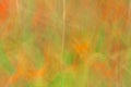 Abstractness blurred natural floral backgrounds, line and groups, the arts