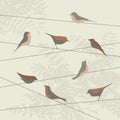 Abstraxt background with birds Royalty Free Stock Photo