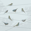 Abstraxt background with birds Royalty Free Stock Photo