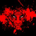 Abstrect tiger face Royalty Free Stock Photo