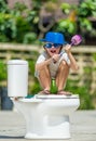 Absurd picture: cute boy in goggles sitting on the toilet, which Royalty Free Stock Photo