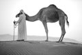 Abu Dhabi camel desert nature of wild life convoys