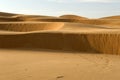 Abu Dhabi desert