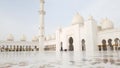 Abu Dhabi, UAE - March 31. 2019. Sheikh Zayd Grand Mosque