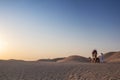 ABUDHABI/UAE - 13DEZ2018 - Camels in the desert of Abu Dhabi with their trainer. UAE Royalty Free Stock Photo