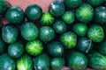 An Abundance of Courgettes/Zucchini
