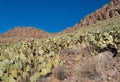 Rockhound State Park near Deming, New Mexico