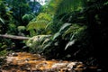 The abundance of the upper reaches of the rainforest animals. Chalerm Rattanakosin National Park in Kanchanaburi.