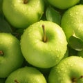 Abundant apple background Ripe and juicy green apples from above Royalty Free Stock Photo