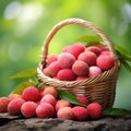 Abundant Basket of Fresh Lychees