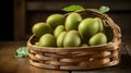 Abundant basket of ripe, green kiwis