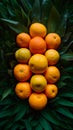 Abundant bunch of vibrant orange fruits arranged attractively Royalty Free Stock Photo