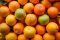 Abundant bunch of vibrant orange fruits arranged attractively