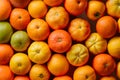 Abundant bunch of vibrant orange fruits arranged attractively Royalty Free Stock Photo