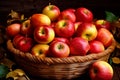 Abundant harvest, full basket of red organic apples with yellow leaves Royalty Free Stock Photo