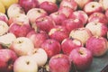 Abundant harvest of organic apples Royalty Free Stock Photo