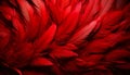 Abundant scarlet feathers flow, creating a visually rich, intricate, and inviting composition