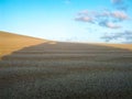 Abysmal desert in all its splendor Royalty Free Stock Photo