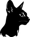 Abyssinian Cat Black Silhouette Generative Ai Royalty Free Stock Photo