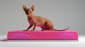 Cat Sitting On Pink Bed - Daz3d Style - Uhd Image Royalty Free Stock Photo