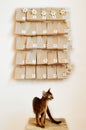 The Abyssinian cat is waiting for the advent calendar for Christmas. Mood Board with gifts and star garland