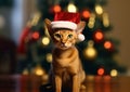 Abyssinian little cat with christmas santa hat on christmas tree background.Macro.AI Generative Royalty Free Stock Photo